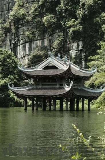 大象传媒app网站-探索大象传媒APP，数字时代的文化传播新阵地