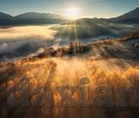 免费版大象传媒-免费版大象传媒，数字时代下的文化传播新势力