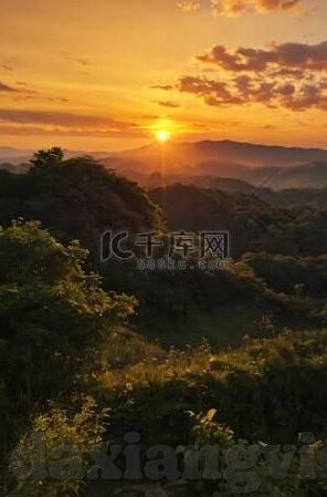 人妻碰碰-探索人妻的微妙世界，在碰碰中寻找生活的温度