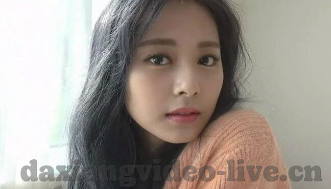 糖心vlog下载地址-糖心Vlog,记录生活点滴,轻松获取下载链接的贴心指南